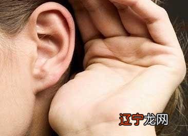 耳朵--人体五官之一,在一定程度上能射影出一个人