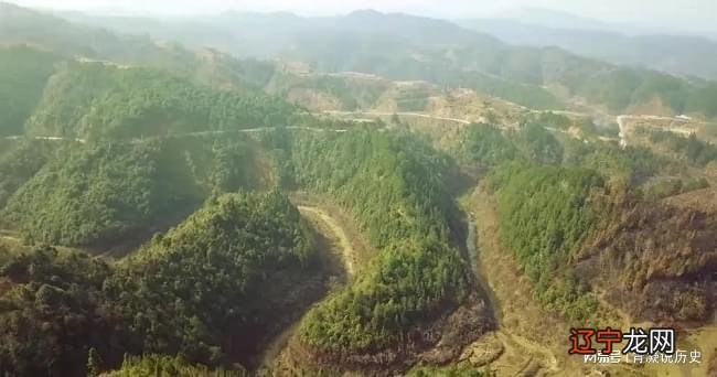 广西藤县岭景--—藤县,-,十五都,