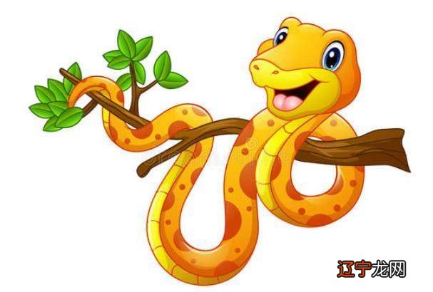 生肖蛇五行属什么_属蛇的生肖配什么生肖_22岁属什么生肖配结婚