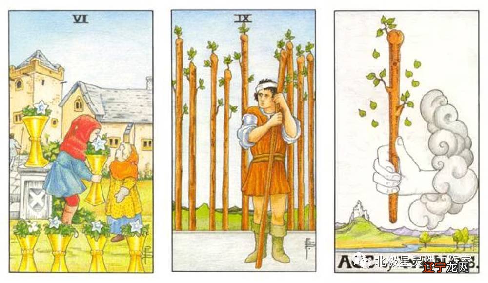 11月4日-10月23日十二星座运势详解