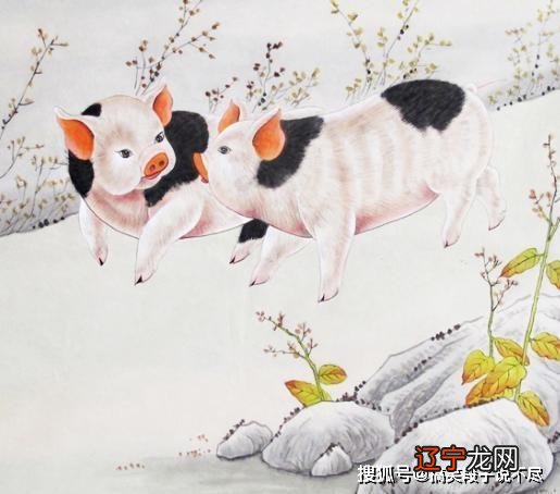 鸡遇牛年运势如何鸡年遇狗年财运好吗?