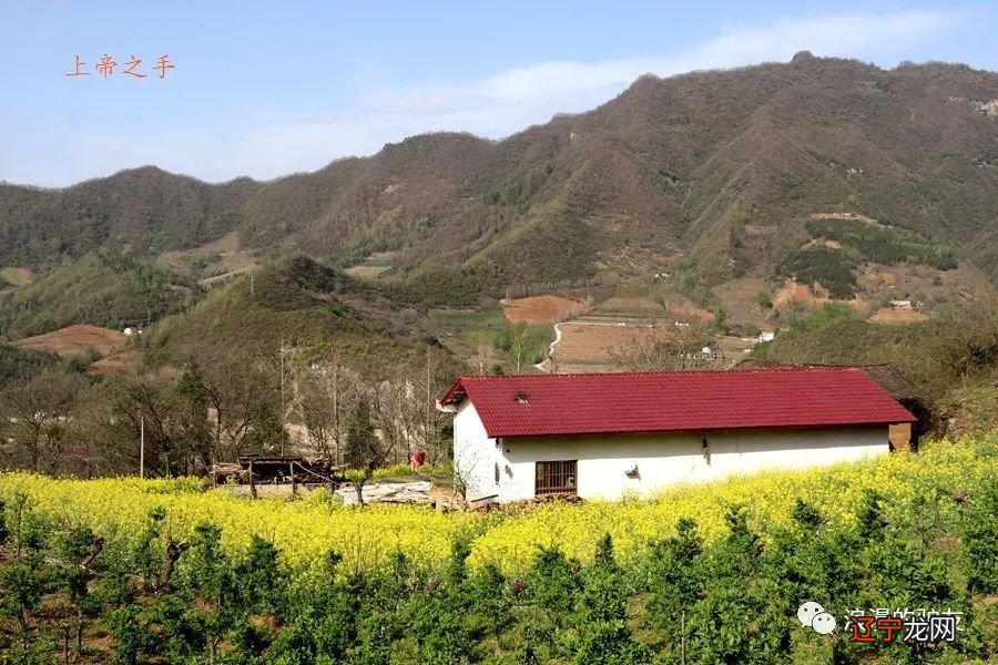 梦见挖水库 一个平平常常:一哈哈,我开车来你们小区门口接你