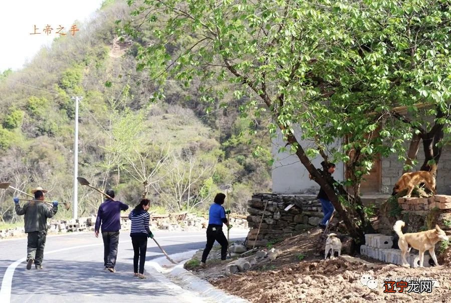 梦见挖水库 一个平平常常:一哈哈,我开车来你们小区门口接你