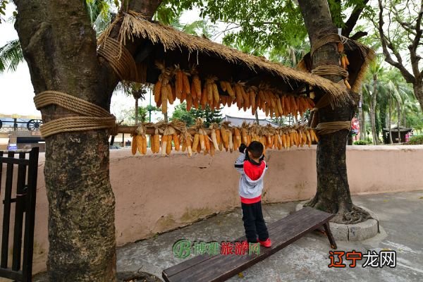 组图 中国各民族的风土人情,你去过几个?