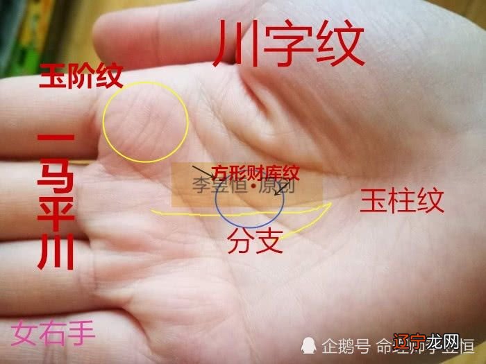 手相学是非常不错的教程,你想学习这方面知识吗?