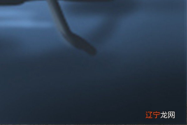 属羊的人,凡事考虑周到,做事忍耐力强,待人亲切,有时悲观犹豫不决