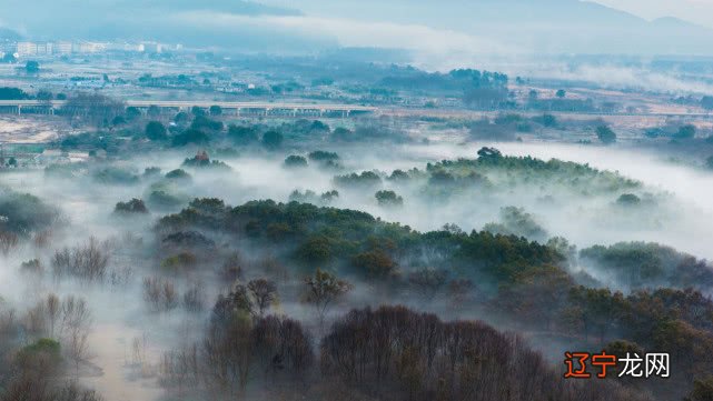 【怪蜀黍占卜】你骨子里是个什么样的人?