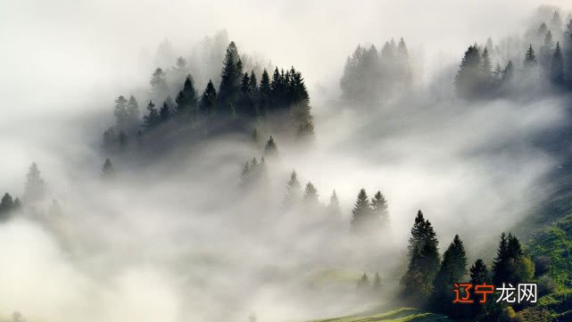 【怪蜀黍占卜】你骨子里是个什么样的人?