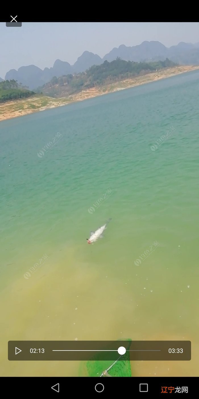 头天晚上梦见干大物，才想起我又三天没去钓鱼了