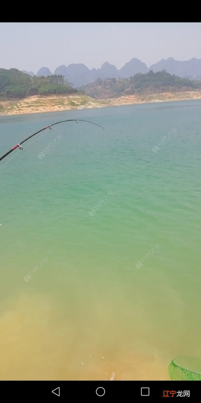 头天晚上梦见干大物，才想起我又三天没去钓鱼了