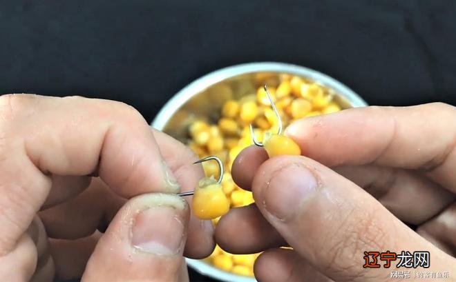 头天晚上梦见干大物，才想起我又三天没去钓鱼了