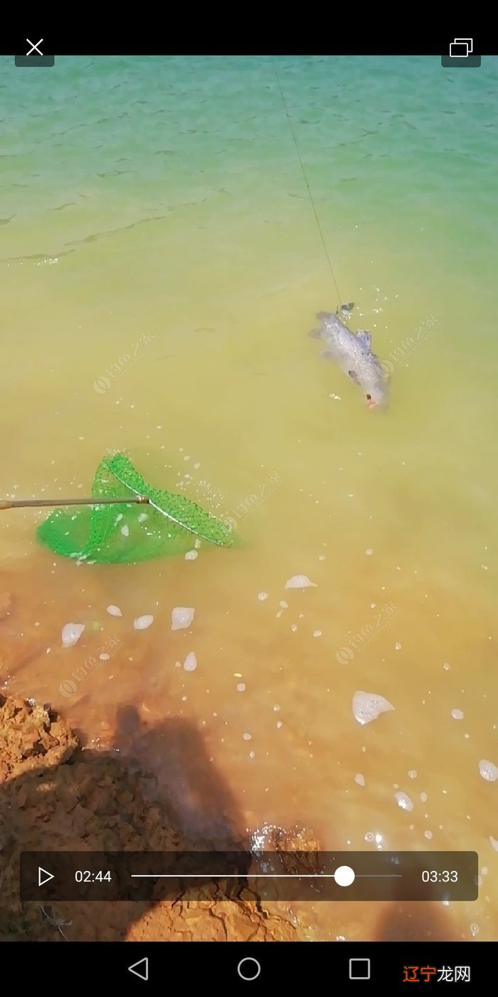 头天晚上梦见干大物，才想起我又三天没去钓鱼了