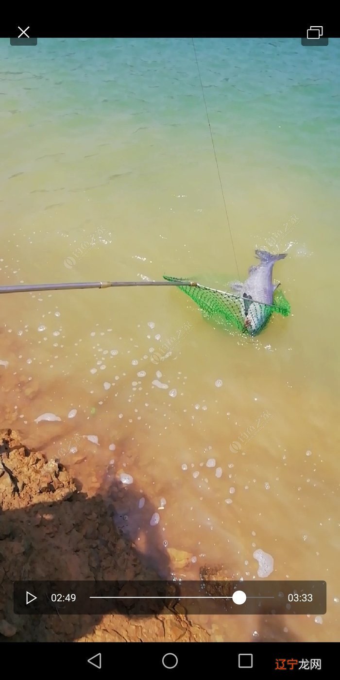 头天晚上梦见干大物，才想起我又三天没去钓鱼了