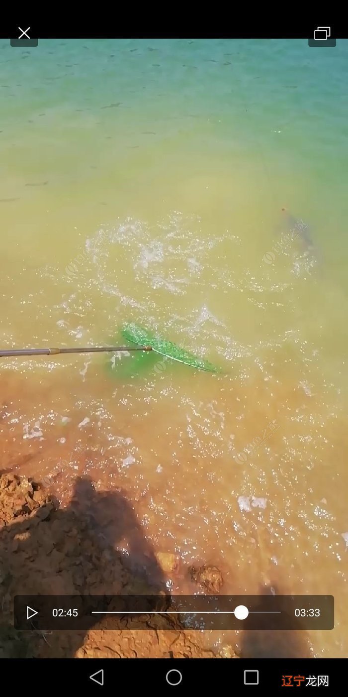 头天晚上梦见干大物，才想起我又三天没去钓鱼了