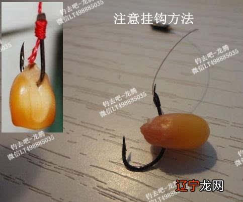 头天晚上梦见干大物，才想起我又三天没去钓鱼了