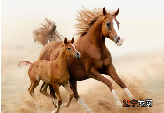 测试适合什么时候表白世界上最善良的人的忠告