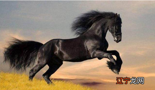 测试适合什么时候表白世界上最善良的人的忠告