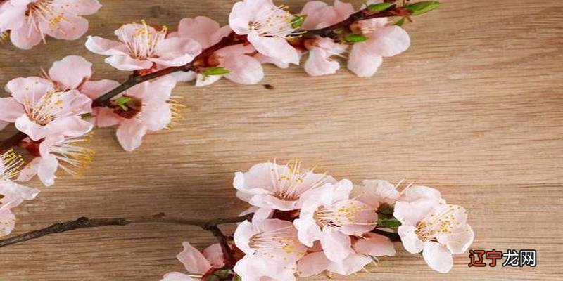 大林木的桃花方位在何处,夫妻康乐好逍遥!