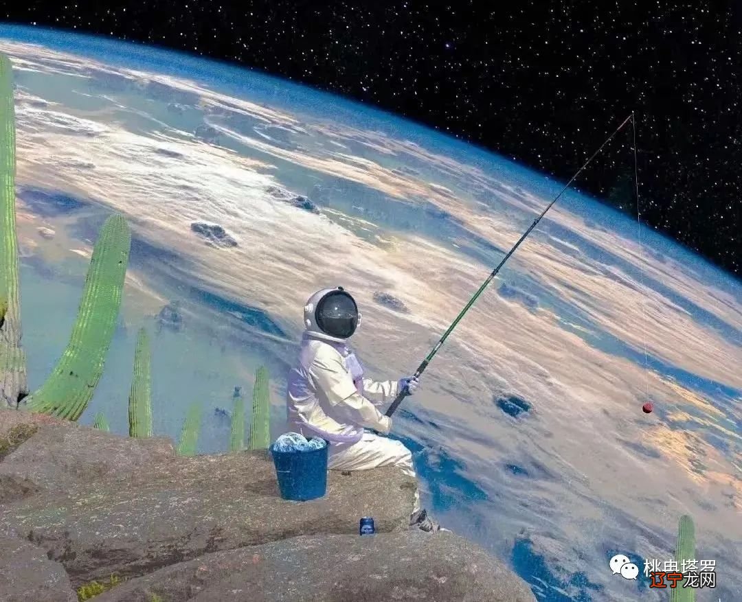 图 12宫位占星骰子的关键在于网络(组图)