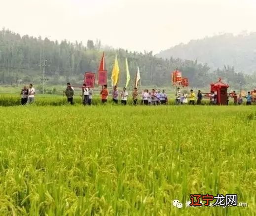 【？艺术节记事】、奉年、丽莲。