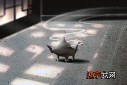 本期风水堂:什么样的八字天生聪敏异常