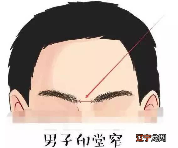 八字排盘命理八字测算_子平八字命理入门_八字命理图片