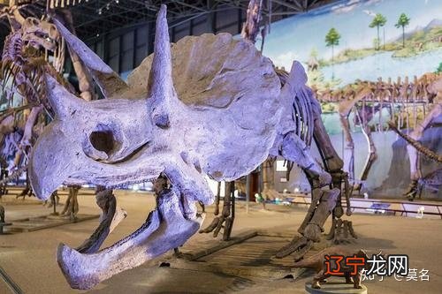 组图 河南十大旅游景点排名,你去过几个?