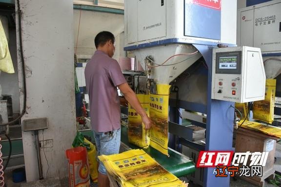 八字合婚免费测试生辰八字免费算命婚姻两人八字合不合查