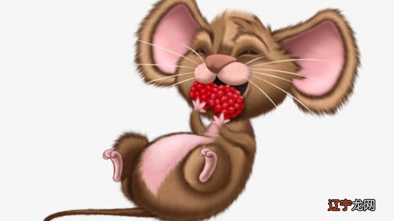 图 家庭成员风水堂:什么是黄道十二宫?