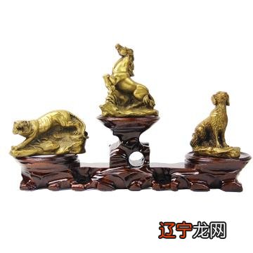 属狗和生肖相配吗_生肖属猪的和什么相配_27岁属什么生肖相配