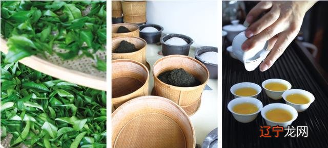 都说潮汕这片特别的土地,是北回归线与中国大陆唯一交汇的地方