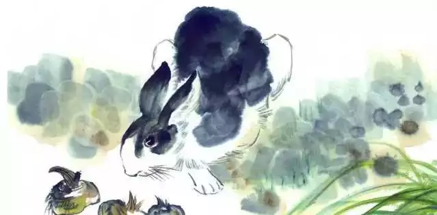 妈妈属蛇明年生个虎宝宝好不好,你知道吗?