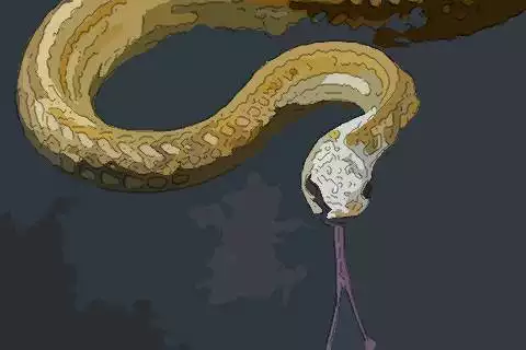 妈妈属蛇明年生个虎宝宝好不好,你知道吗?