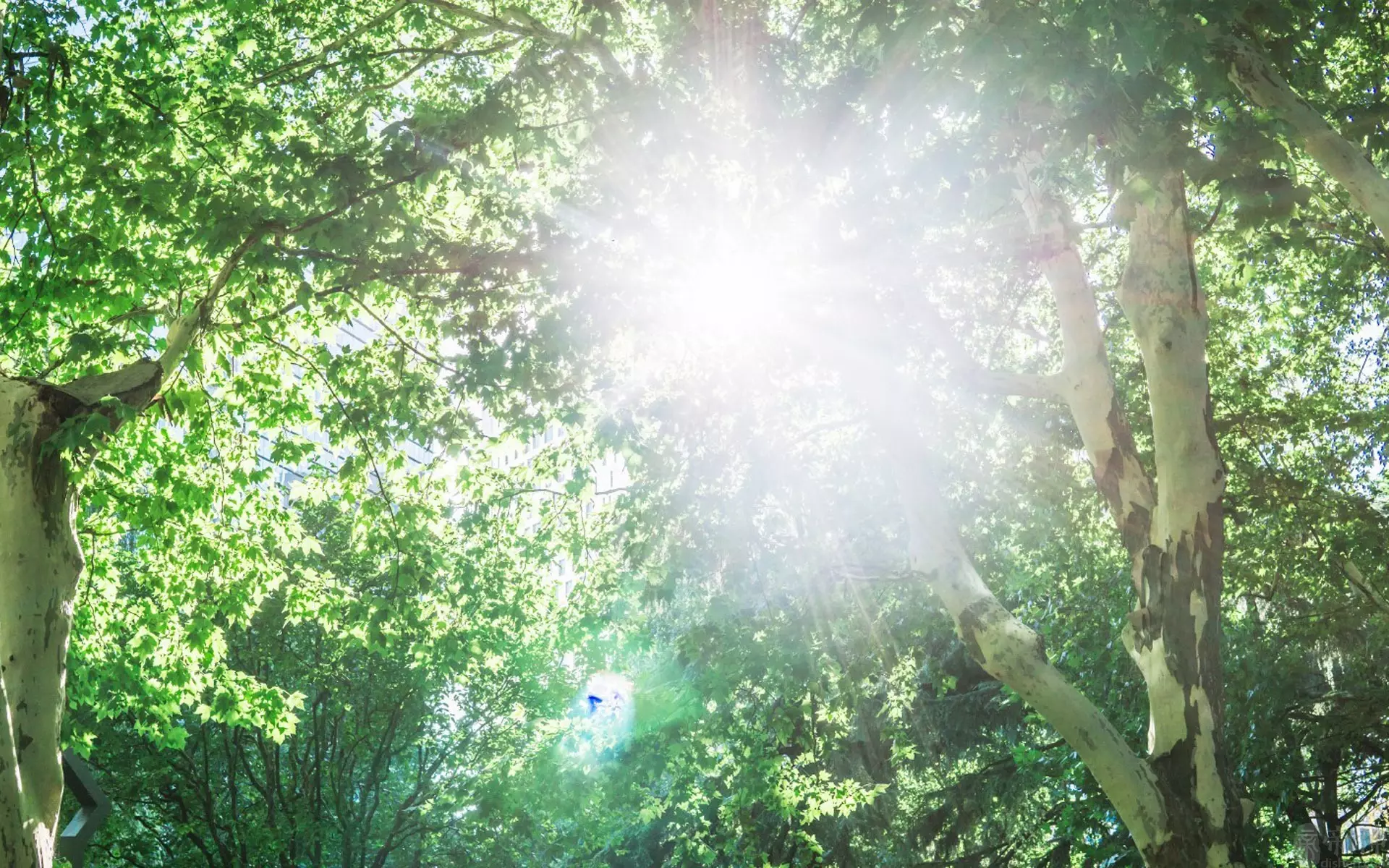 妈妈属蛇明年生个虎宝宝好不好,你知道吗?