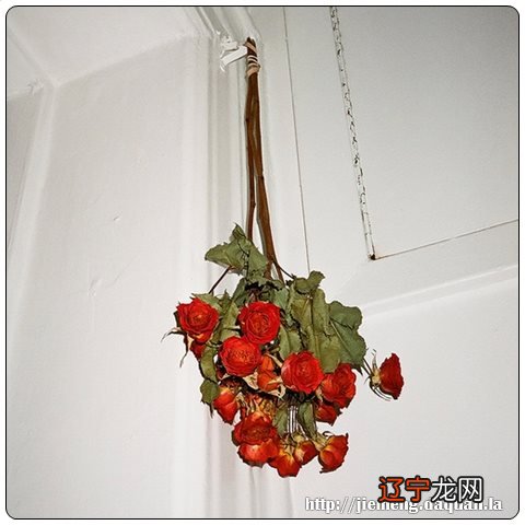 女人梦见裤裆钻进癞蛤蟆是什么意思?预示着适合在家中度过的一天