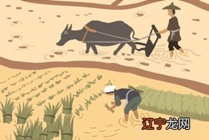 来讲风水堂:八字五行缺水的话要怎么办