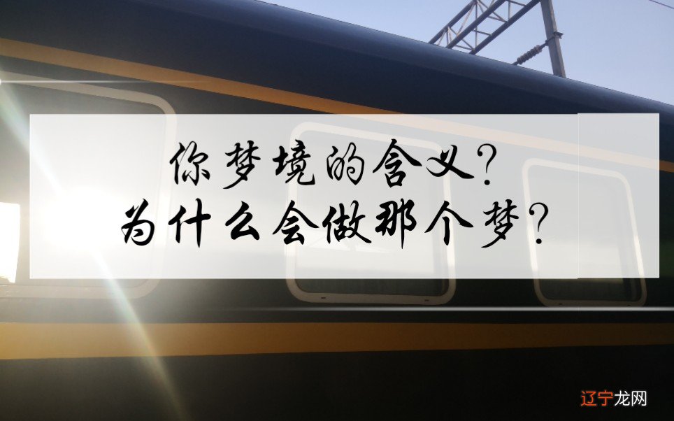 梦见夏天雪 做梦是最公平的一件事，无论你是谁？