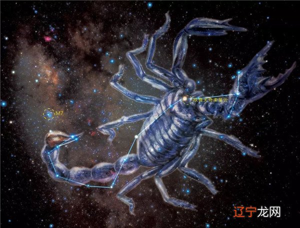 你知道天蝎座的性格特点是怎样的吗吗?的星座