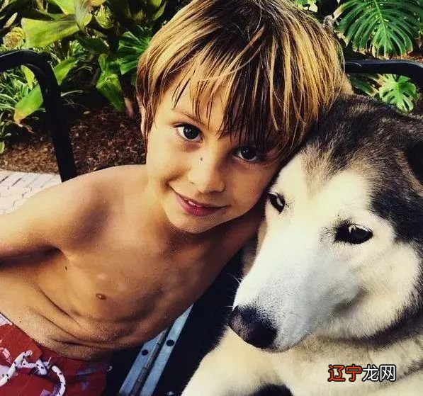 妈妈,我是泼妇产,嫌你丑,疼你还不如疼家里的猫和狗