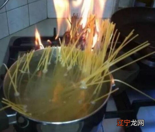 妈妈,我是泼妇产,嫌你丑,疼你还不如疼家里的猫和狗