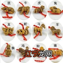 图 十二生肖的宝宝取名禁忌取名及禁忌