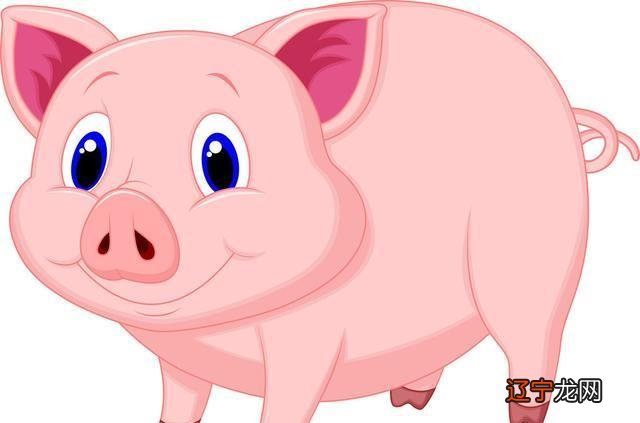 属猪2018年运势及运程每月运程年6月属猪什么运