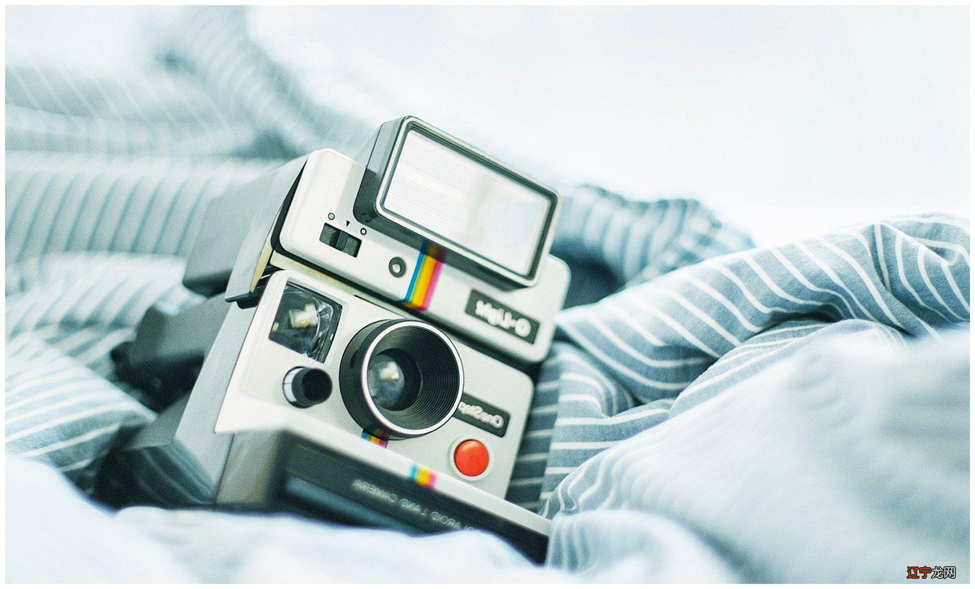 天生反骨、特立独行,这个星座会把敏感藏起来!