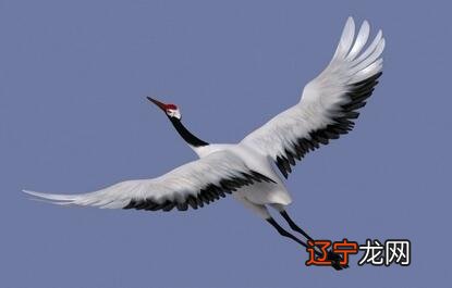 胎梦是与怀孕有关的梦,看看哪些胎梦是关于怀男孩的