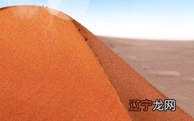 1991年属什么生肖配偶:属羊的属相为羊