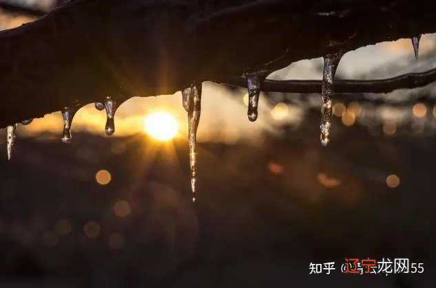 【李向东】八字中日干为体本身的关系,你了解多少?