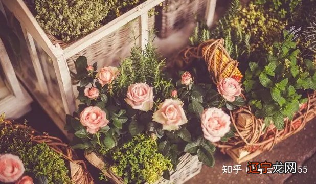 【李向东】八字中日干为体本身的关系,你了解多少?