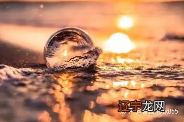 【李向东】八字中日干为体本身的关系,你了解多少?