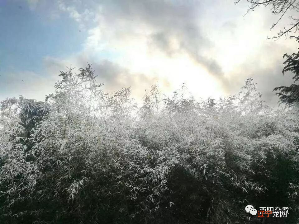 中国作协:我和杨康把李拐子家的傩到手就离开