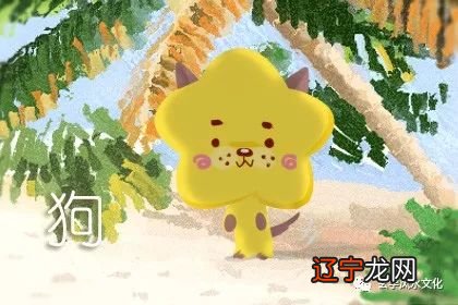 生肖兔和属狗的人相配度有多高，有你吗？